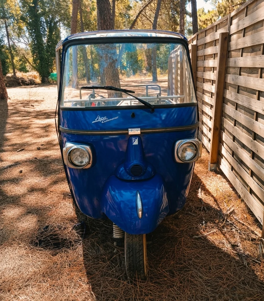 Riparazioni Ape Car